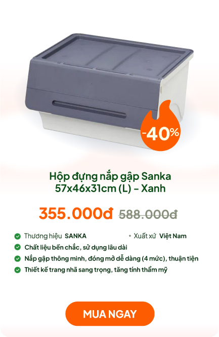 Hộp đựng nắp gập Sanka 57x46x31cm (L) - Tím xanh